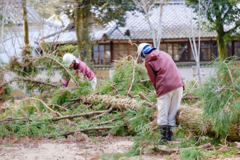 草刈り・木の伐採